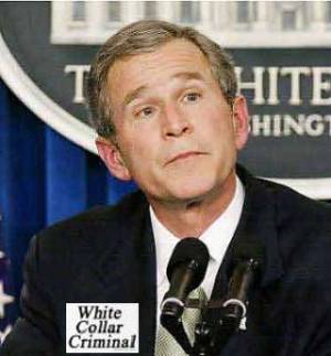 whitecollarcriminal