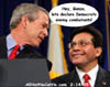 bushgonzo