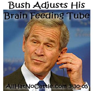 bushfeedingtube