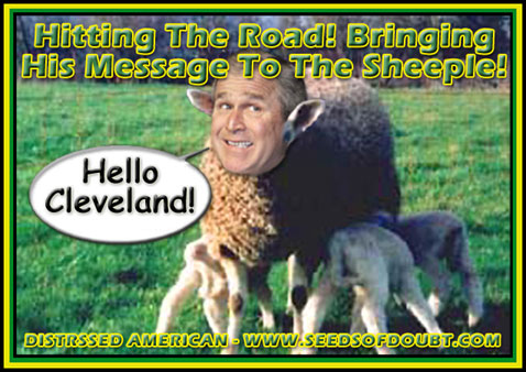 Sheeple-Small