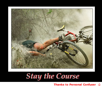 StayTheCourseBushBike