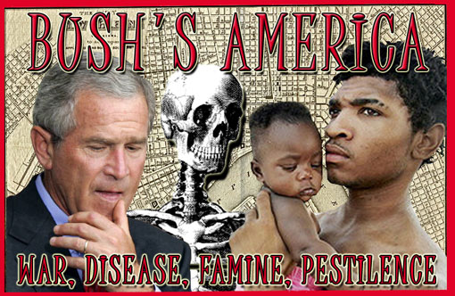 Bushs-America-Small