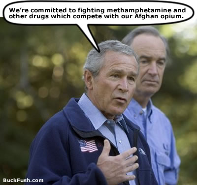 bushMethamphetamine