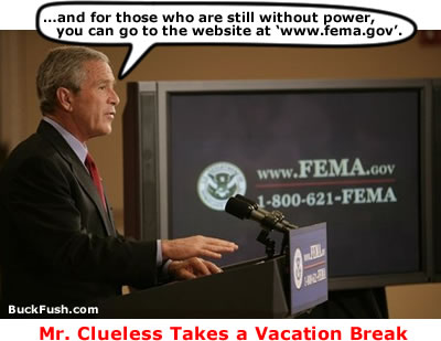 bushTheClueless