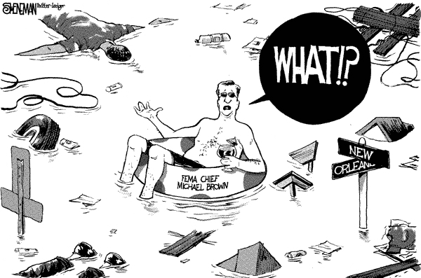fema-brown-what