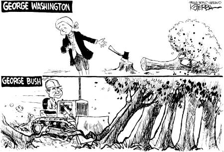 tree-killer