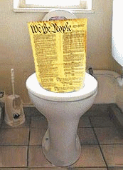 constitution-flush