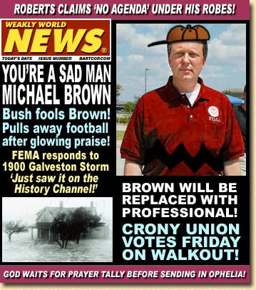 wwn-brownie