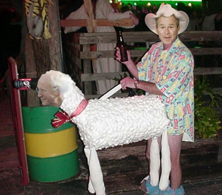 bush-f-sheep