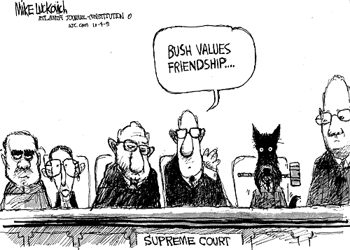 dog-judge
