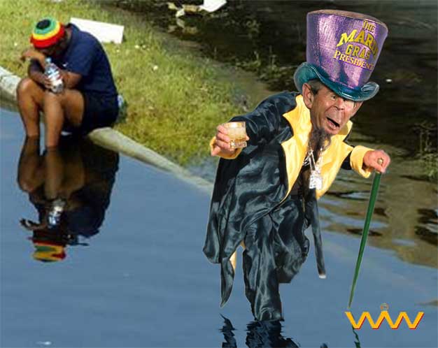 mardigrasbush