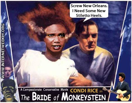 ricemonkeystein