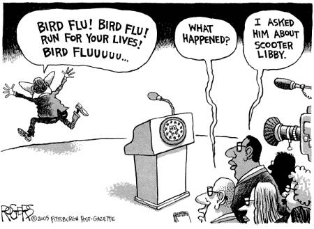 bird-flu-libby