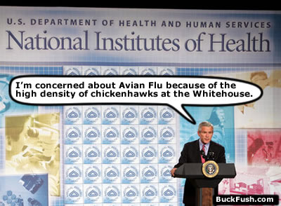 bushChickenhawkFlu