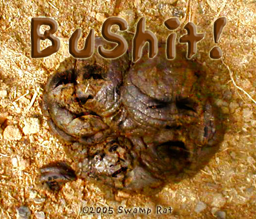 106376BuShit2