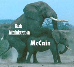 bush-screws-mccain