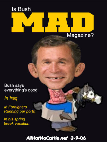 bushmadmag-2006