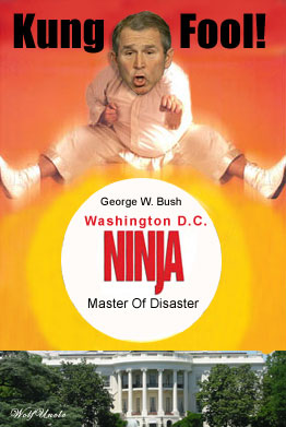 ninja-disaster